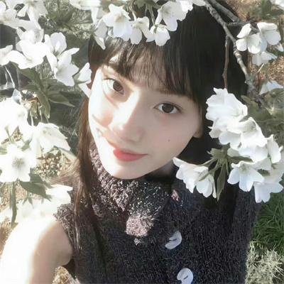 犯罪市长