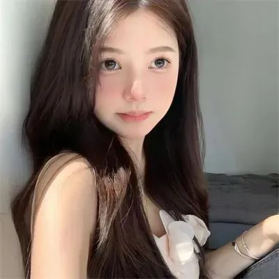 爱猫之城