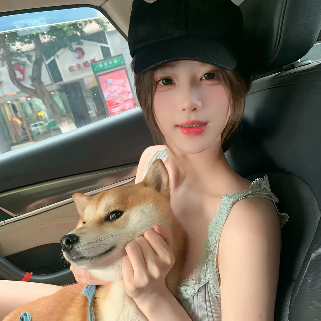 寻芳浪蝶